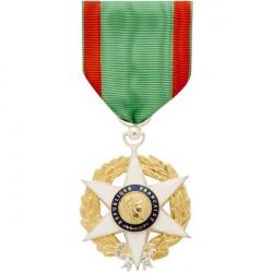 MEDAILLE ORDONNANCE...
