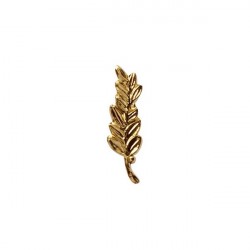 PALME REDUCTION OR PAT...