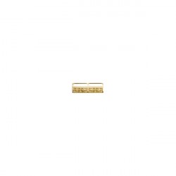 BARRETTE AVEC MOTIF 2 PLACES