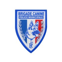 BADGE PLASTIQUE REF 713...