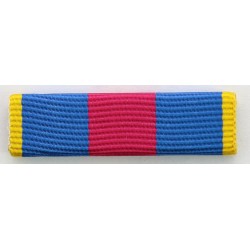 BARRETTE DIXMUDE SANS MICA...