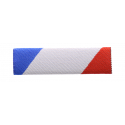 BARRETTE DIXMUDE SANS MICA...
