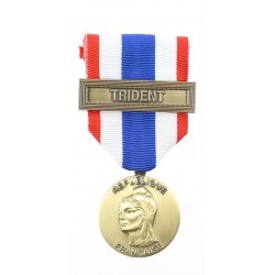 MEDAILLE ORDONNANCE...