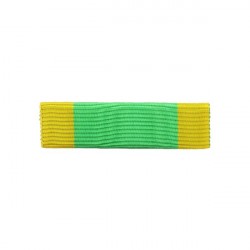 BARRETTE DIXMUDE SANS MICA...