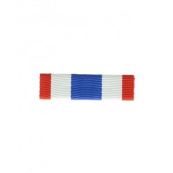 BARRETTE DIXMUDE SANS MICA...