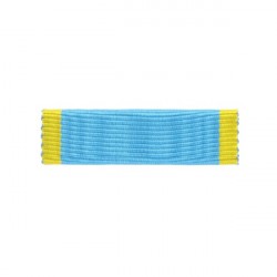 BARRETTE DIXMUDE SANS MICA...