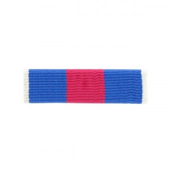 BARRETTE DIXMUDE SANS MICA...