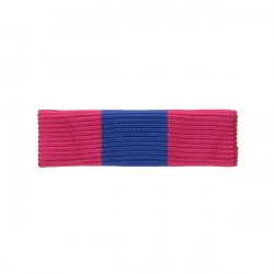 BARRETTE DIXMUDE SANS MICA...