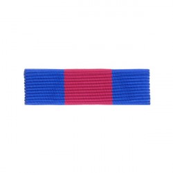 BARRETTE DIXMUDE SANS MICA...
