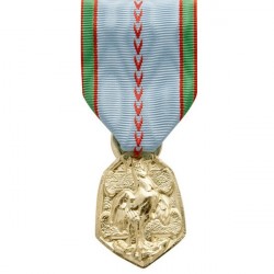 MEDAILLE ORDONNANCE COMMEMO...